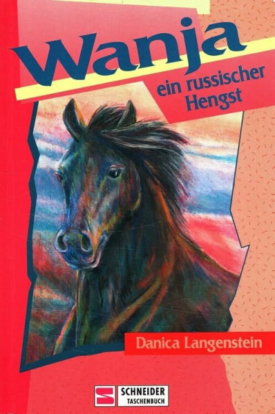 Wanja, ein russischer Hengst