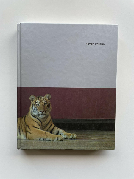 Peter Friedl: Dt. /Engl.: édition anglaise