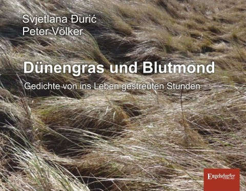 Dünengras und Blutmond