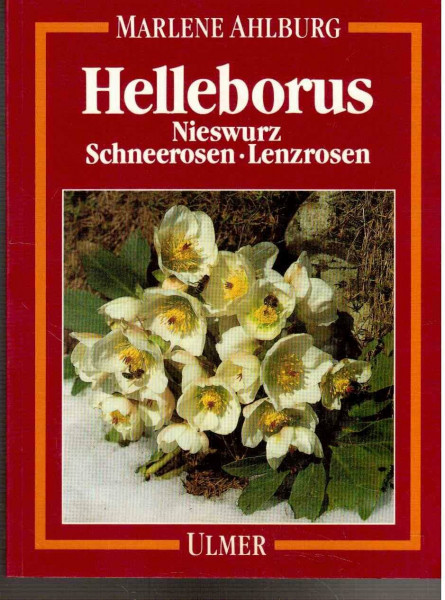 Helleborus: Nieswurz, Schneerosen, Lenzrosen