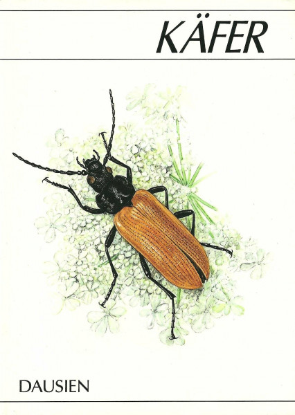 Käfer