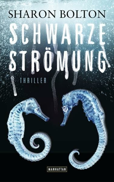 Schwarze Strömung - Lacey Flint 4: Thriller (Sharon Bolton, Band 4)