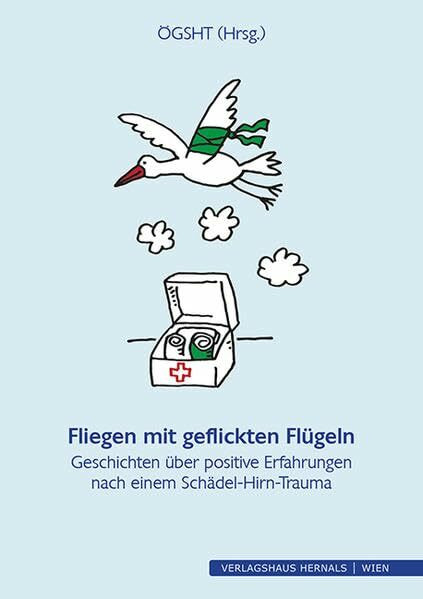 Fliegen mit geflickten Flügeln: Geschichten über positive Erfahrungen nach einem Schädel-Hirn-Trauma