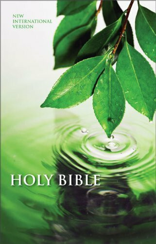 The Holy Bible: New International Version, Containing the Old Testament and the New Testament