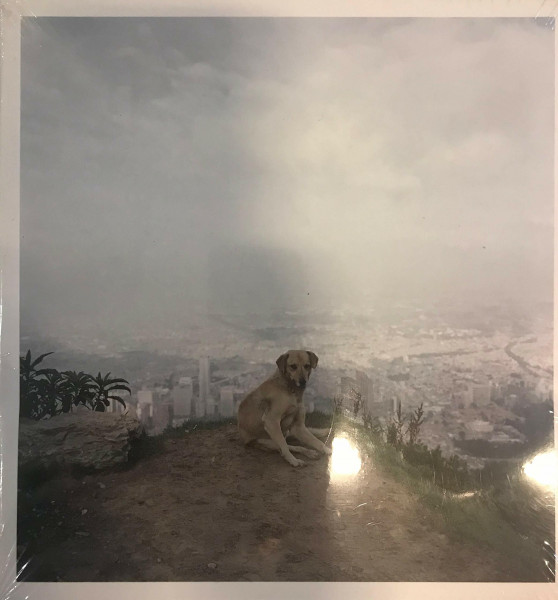 Dog Days Bogotá
