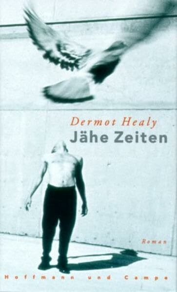 Jähe Zeiten: Roman