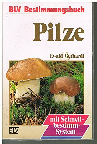 Pilze