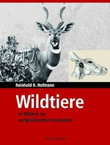 Wildtiere in Bildern zur vergleichenden Anatomie: Schaper Verlag im Vertrieb Schlütersche