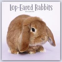 Lop-eared Rabbits - Widderkaninchen 2023 - 16-Monatskalender