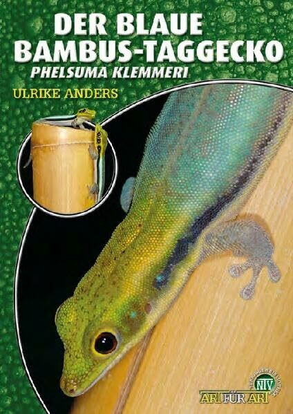 Der Blaue Bambus-Taggecko: Phelsuma klemmeri (Buchreihe Art für Art Terraristik)
