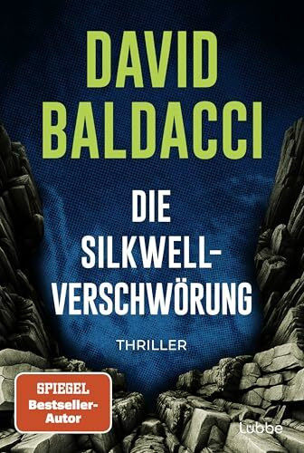 Die Silkwell-Verschwörung: Thriller. Ein Mord an einer CIA-Agentin. Amerikas schmutzigste Geheimnisse. Ein neuer Fall für Travis Devine (Die Travis-Devine-Serie, Band 2)
