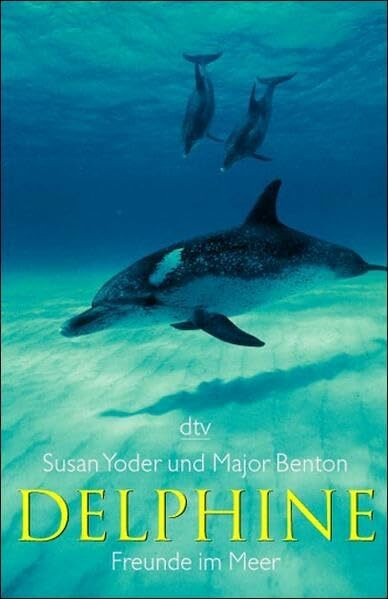 Delphine: Freunde im Meer