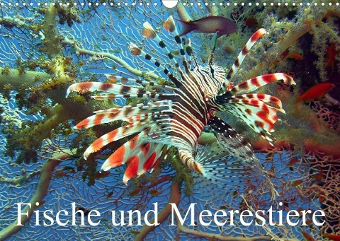 Fische und Meerestiere (Wandkalender 2023 DIN A3 quer)