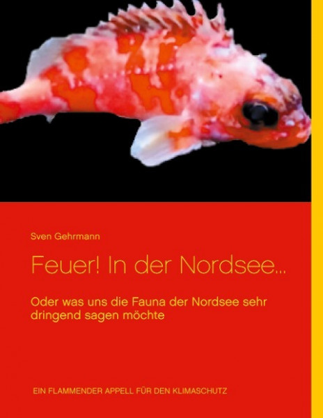 Feuer! In der Nordsee...