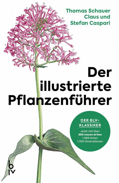 Der illustrierte Pflanzenführer: Der BLV-Klassiker – jetzt mit über 300 neuen Arten | Das Standardwerk zur Pflanzenbestimmung: Wildblumen und Kräuter erkennen lernen (BLV Naturführer)