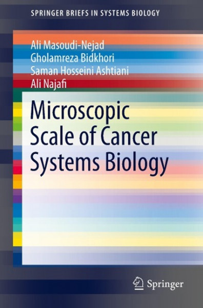 Microscopic Scale of Cancer Systems Biology