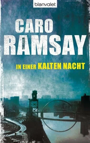 In einer kalten Nacht: Roman