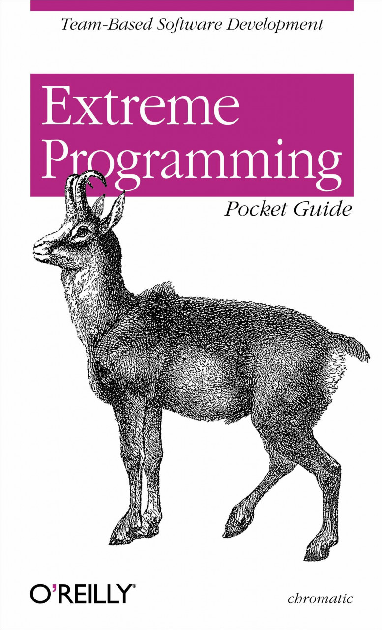Extreme Programming Pocket Guide (Pocket References Buch O'Reilly & Associates