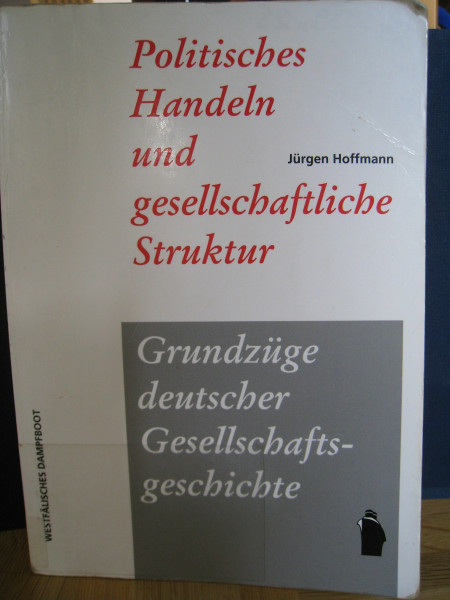Politisches Handeln und gesellschaftliche Struktur. Politische Soziologie der europäischen und der