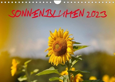 Sonnenblumen 2023 (Wandkalender 2023 DIN A4 quer)