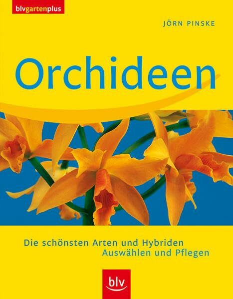 Orchideen: Die schönsten Arten und Hybriden. Auswählen und Pflegen (blv garten plus)