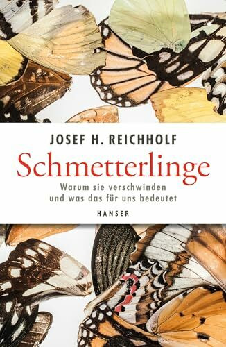 Schmetterlinge: Warum sie verschwinden und was das für uns bedeutet