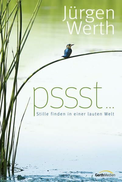 Pssst...: Stille finden in einer lauten Welt