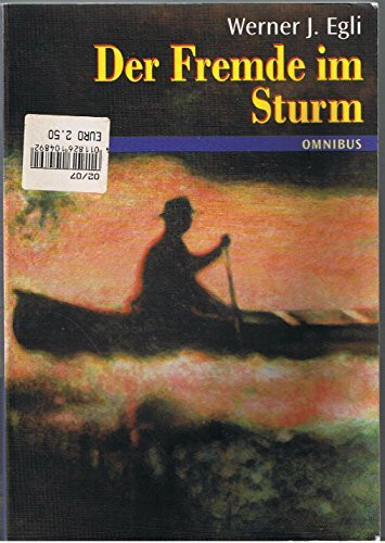 Der Fremde im Sturm