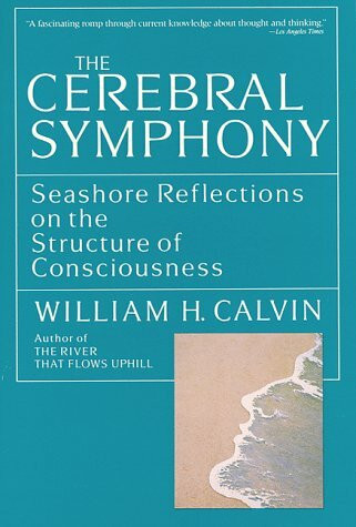 Cerebral Symphony: Seashore Reflections on the Structure of Consciousness