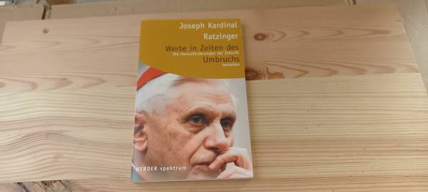 Werte in Zeiten des Umbruchs: Die Herausforderungen der Zukunft bestehen (HERDER spektrum)