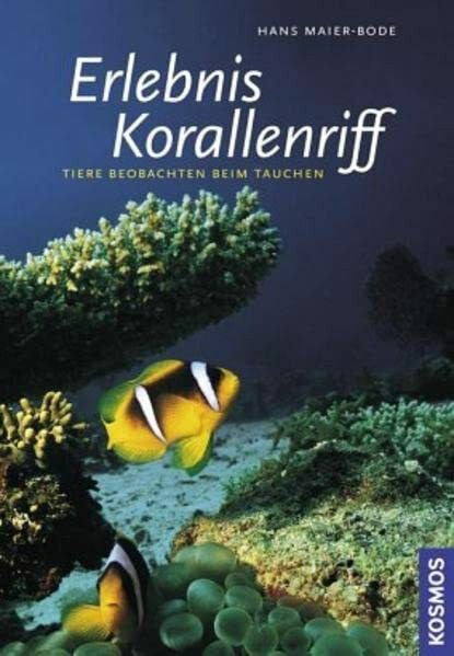 Erlebnis Korallenriff: Tiere beobachten beim Tauchen