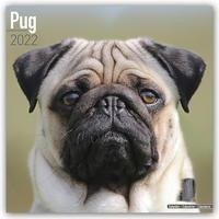 Pugs - Möpse 2022 - 18-Monatskalender mit freier DogDays-App
