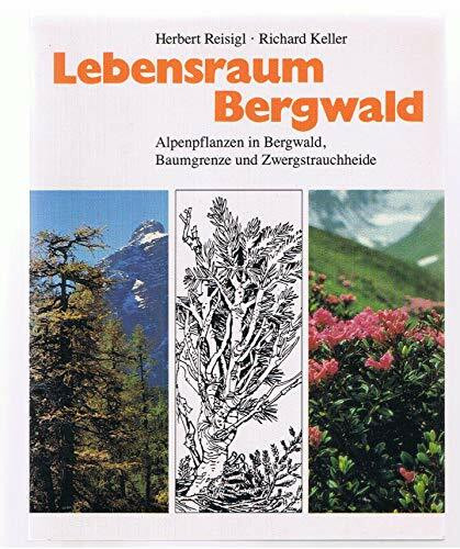 Lebensraum Bergwald: Alpenpflanzen in Bergwald, Baumgrenze und Zwergstrauchheide. Vegetationsökologische Informationen für Studien, Exkursionen und Wanderungen