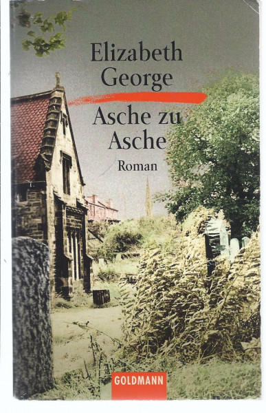Asche zu Asche: Roman