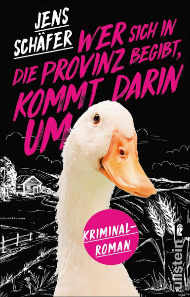 Wer sich in die Provinz begibt, kommt darin um: Kriminalroman