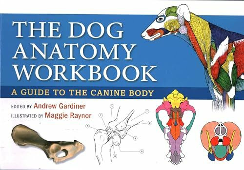 Dog Anatomy: A Guide to the Canine Body