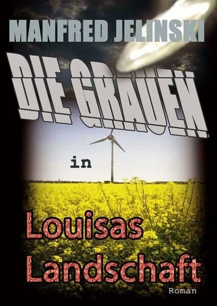 Die Grauen in Louisas Landschaft: Roman