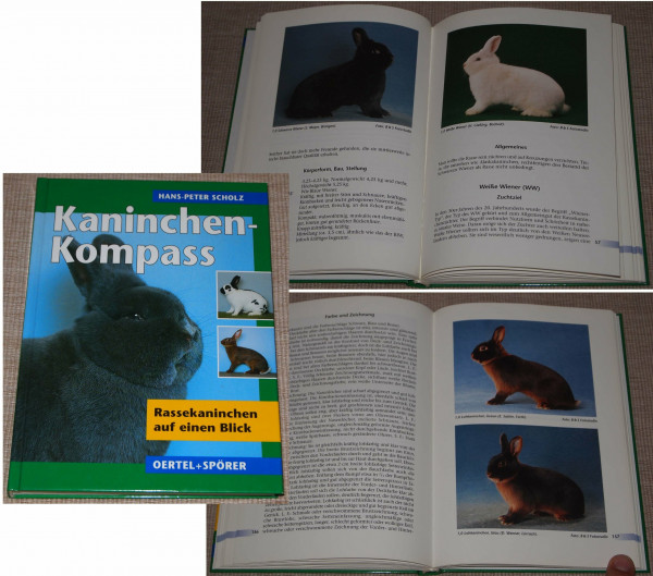 Kaninchen-Kompass: Rassekaninchen auf einen Blick