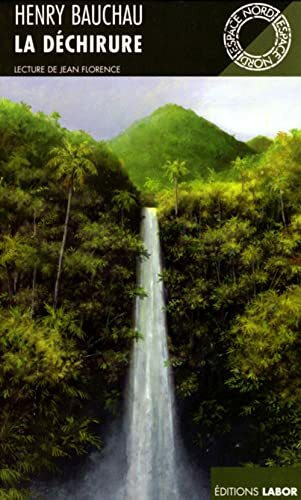 LA DECHIRURE
