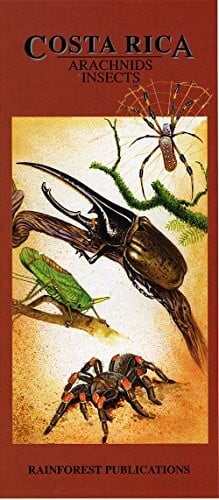 Costa Rica: Arachnids Insects