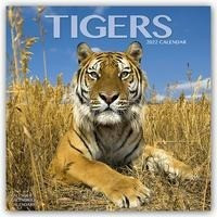 Tigers - Tiger 2022 - 18-Monatskalender