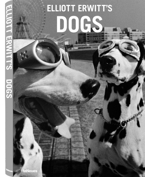 Elliott Erwitt's Dogs
