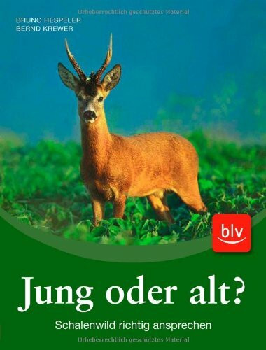 Jung oder alt?: Schalenwild richtig ansprechen