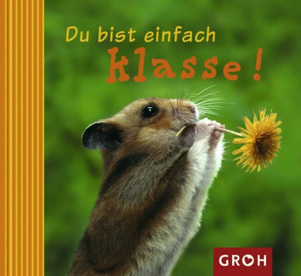Du bist einfach klasse (Ich denk an dich)
