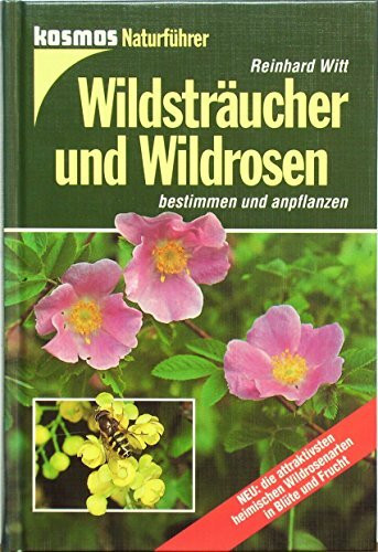 Wildsträucher und Wildrosen