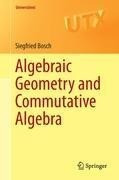 Algebraic Geometry and Commutative Algebra