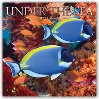 Tropical Fish - Tropische Fische 2022 - 18-Monatskalender