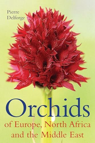 Orchids of Europe, North Africa and the Middle East