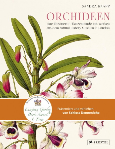 Orchideen