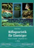 Riffaquaristik für Einsteiger: Preiswerte Einrichtung - Pflegeleichte Tiere